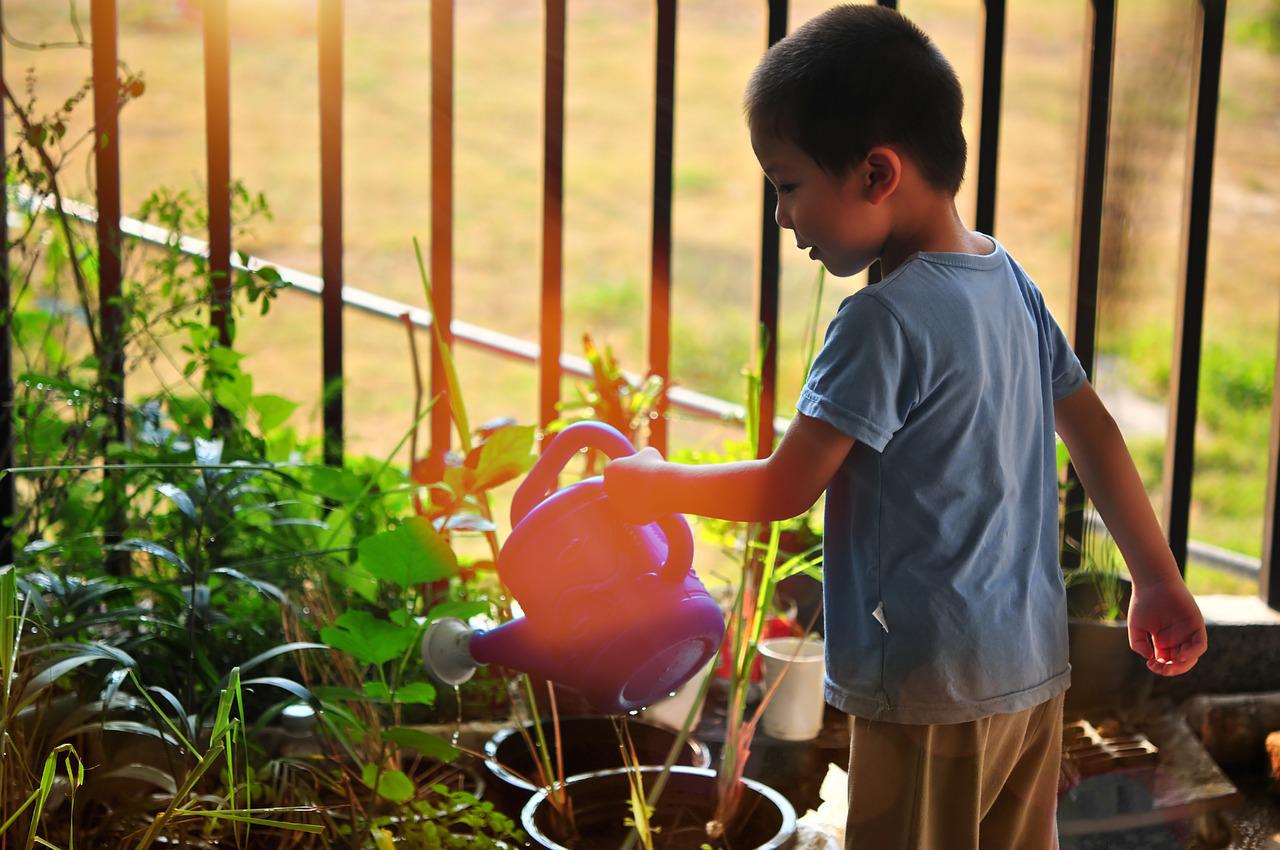 child watering potted plants; botany lessons concept